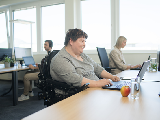 Mitarbeiterin im Rollstuhl sitzt am Schreibtisch und arbeitet am Laptop. Im Hintergrund sind weitere Kolleg:innen sichtbar.